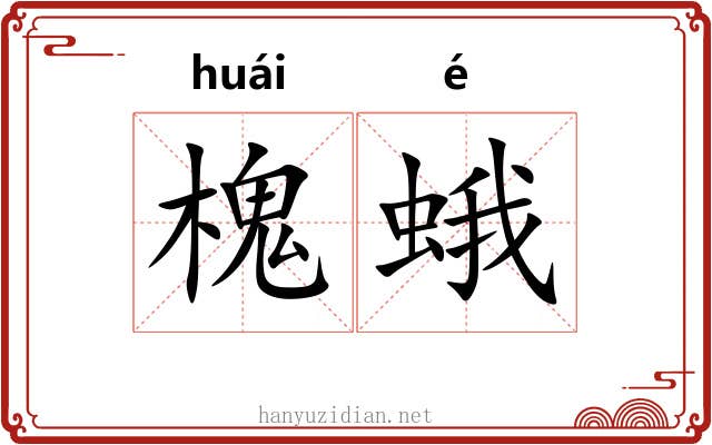 槐蛾