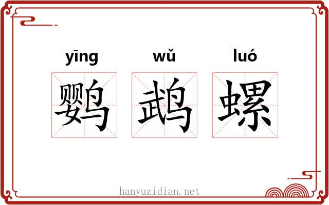 鹦鹉螺