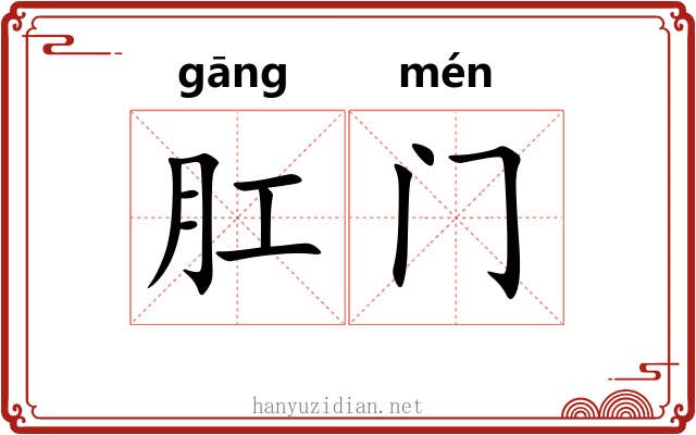 肛门