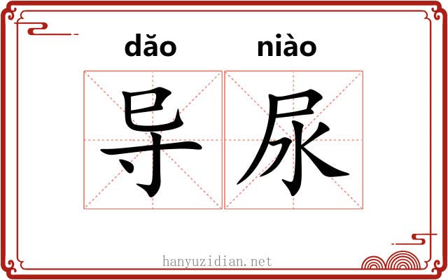 导尿