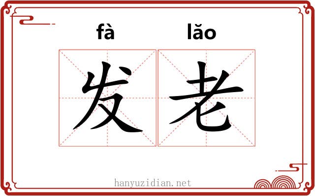 发老 发老