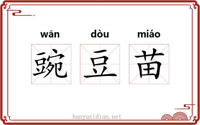 豌豆苗 豌豆苗