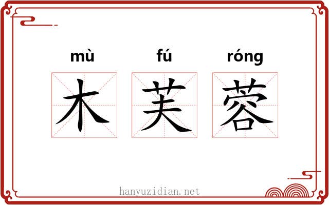 木芙蓉