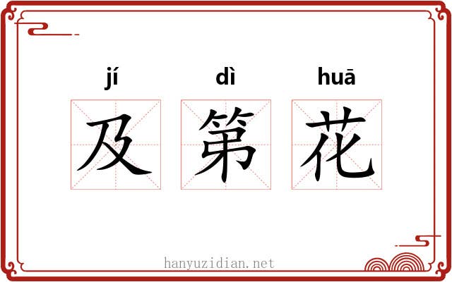 及第花 及第花