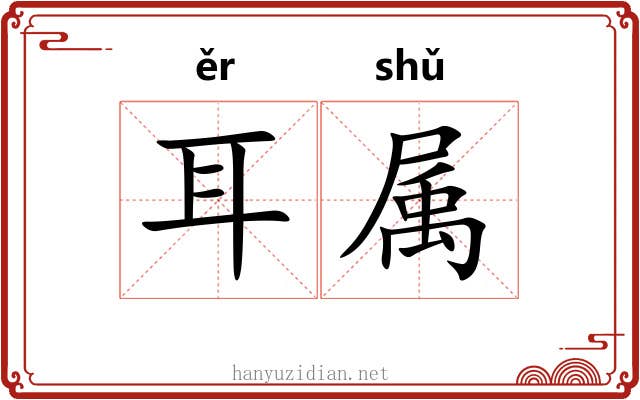 耳属 耳属