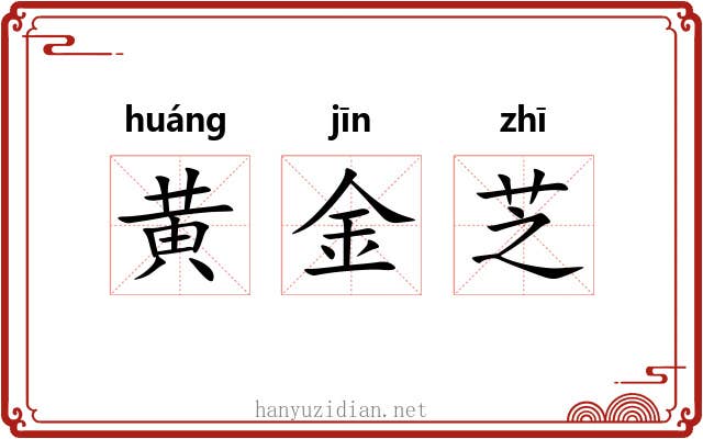黄金芝 黄金芝