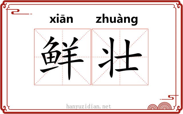 鲜壮 鲜壮