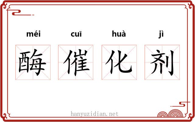 酶催化剂