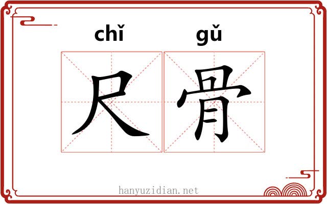 尺骨 尺骨