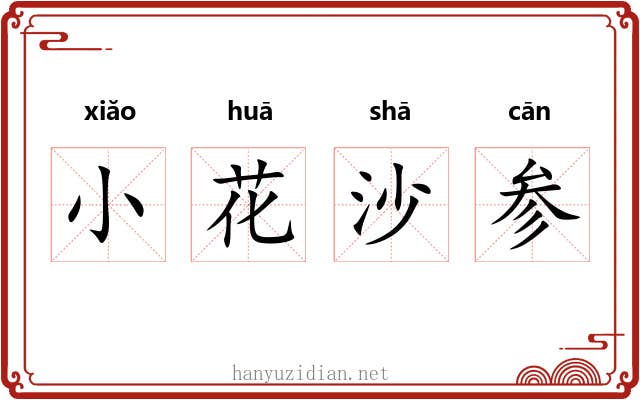 小花沙参