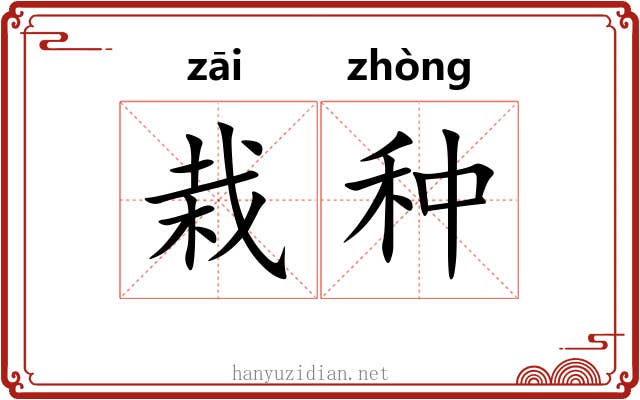 栽种 栽种