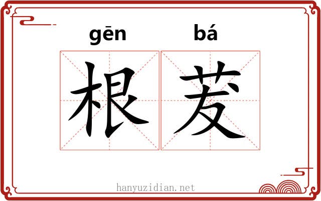 根茇 根茇