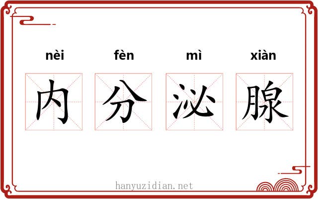 内分泌腺 内分泌腺