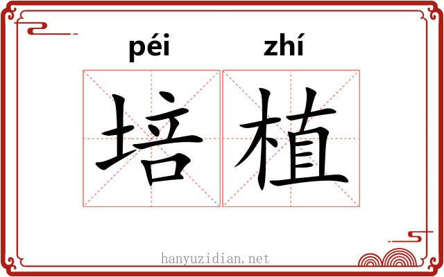 培植 培植