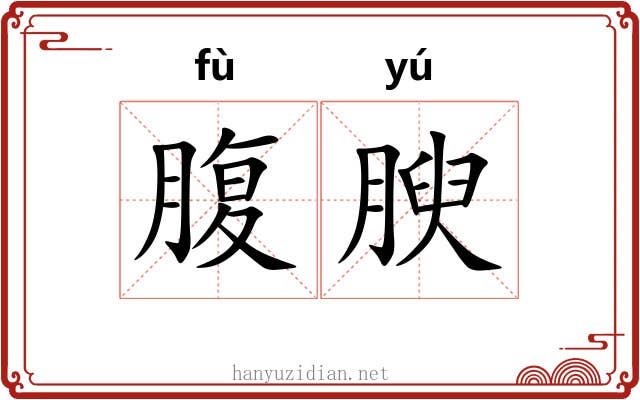 腹腴