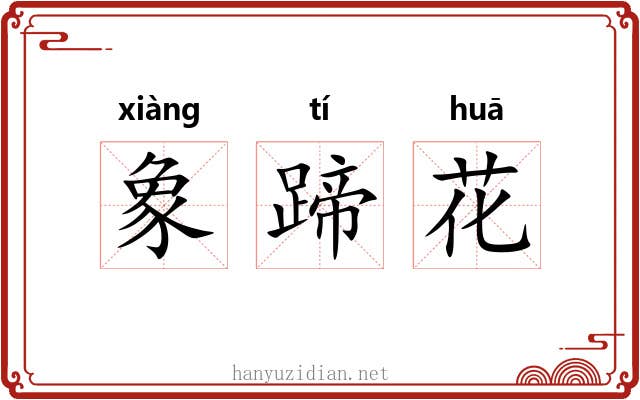 象蹄花