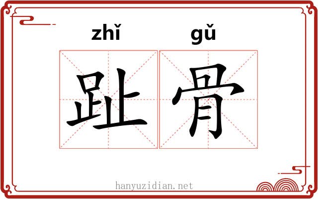 趾骨