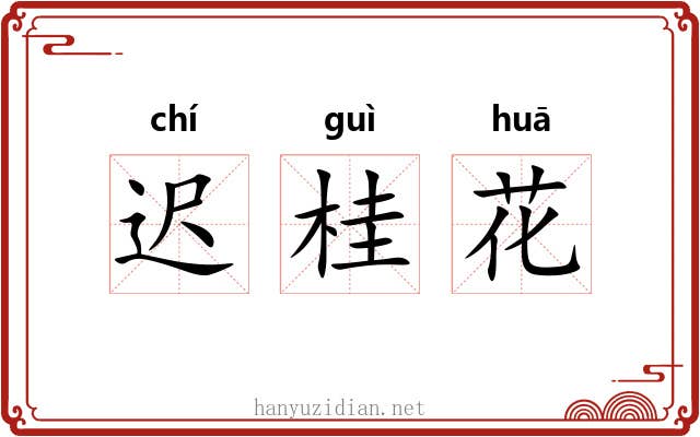 迟桂花 迟桂花