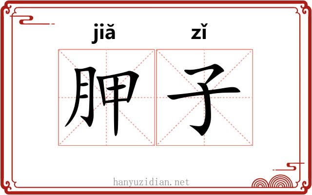 胛子 胛子