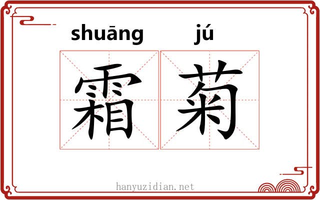 霜菊