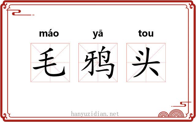 毛鸦头 毛鸦头