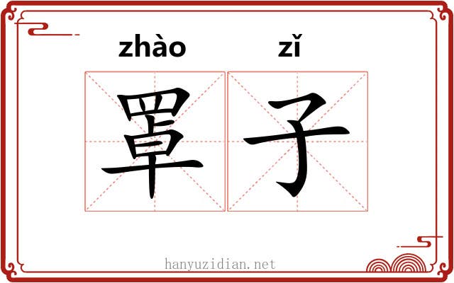 罩子