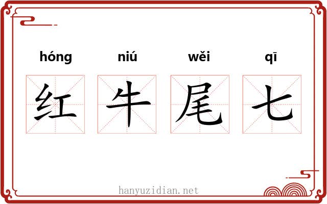 红牛尾七 红牛尾七