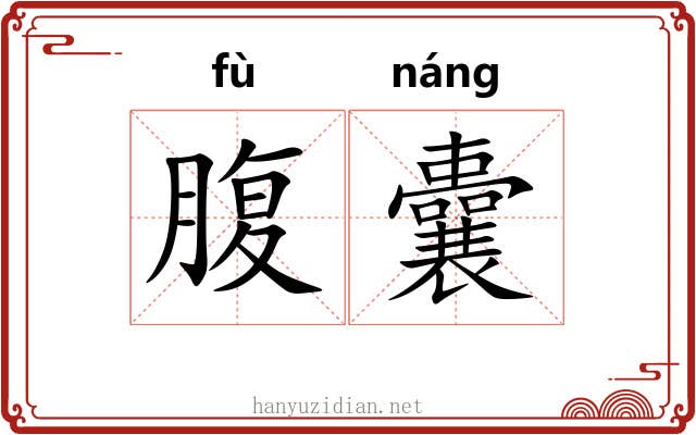 腹囊 腹囊