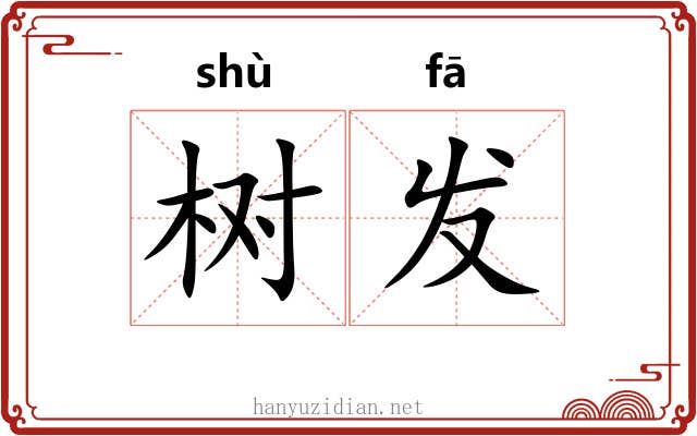 树发 树发
