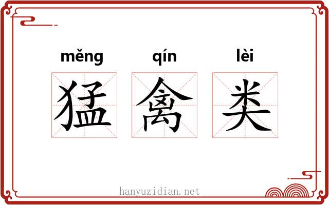 猛禽类