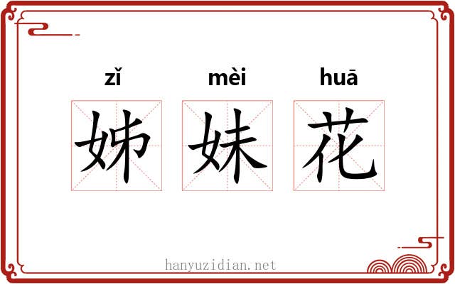 姊妹花 姊妹花