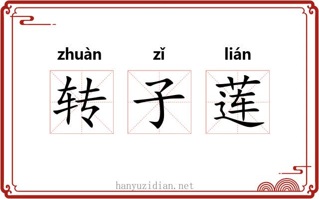 转子莲