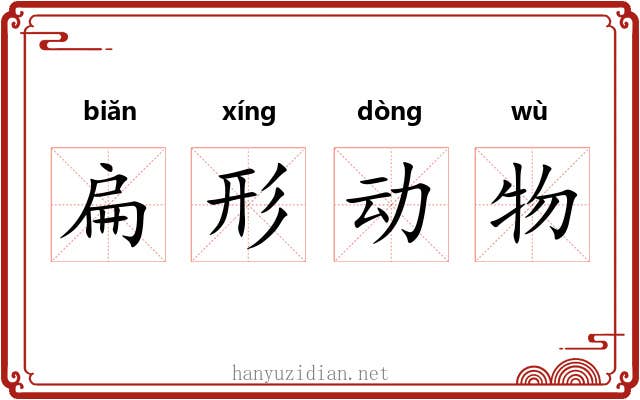 扁形动物 扁形动物