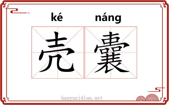 壳囊