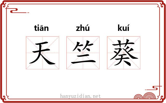 天竺葵 天竺葵