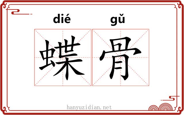 蝶骨 蝶骨