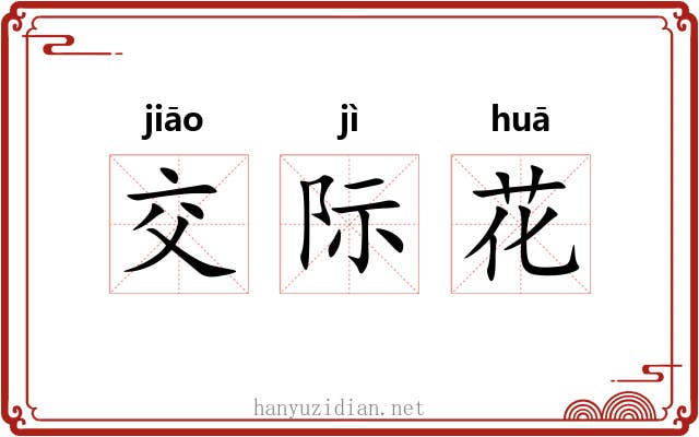 交际花 交际花