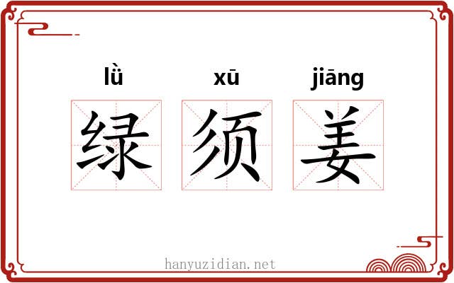 绿须姜 绿须姜