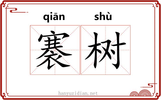 褰树