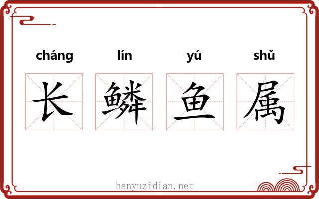 长鳞鱼属 长鳞鱼属