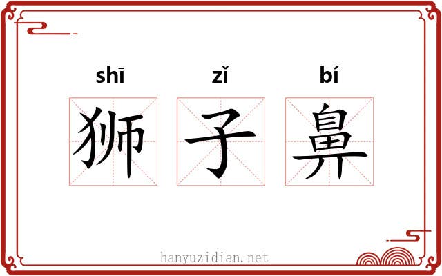 狮子鼻 狮子鼻