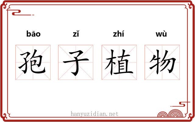 孢子植物