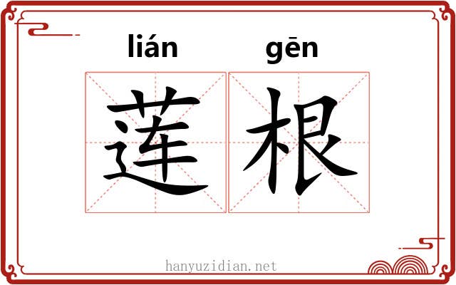 莲根 莲根