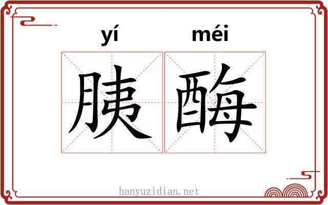 胰酶