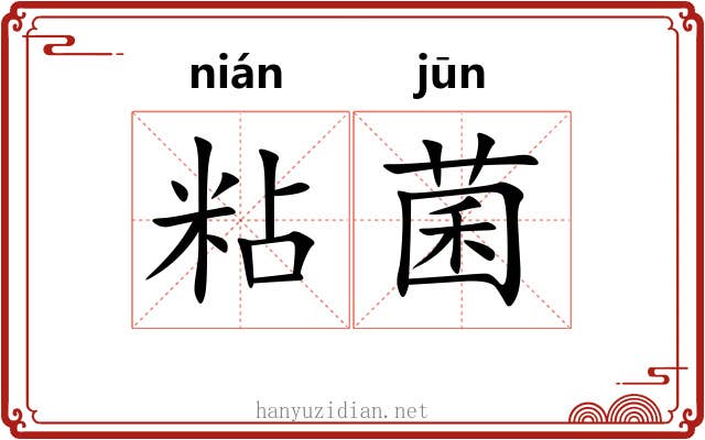 粘菌