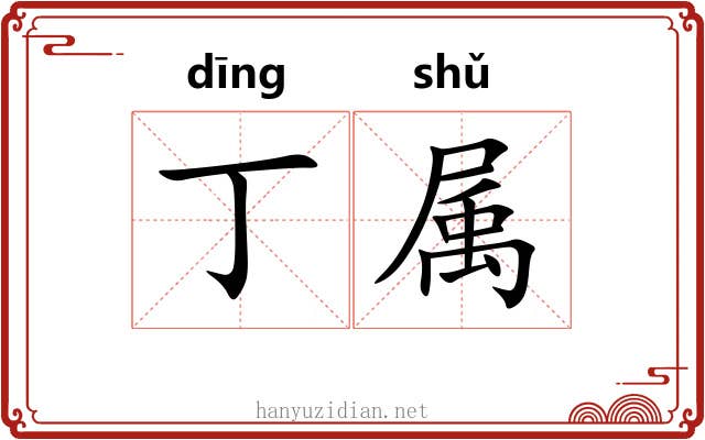 丁属 丁属