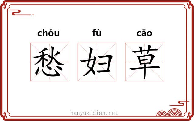 愁妇草