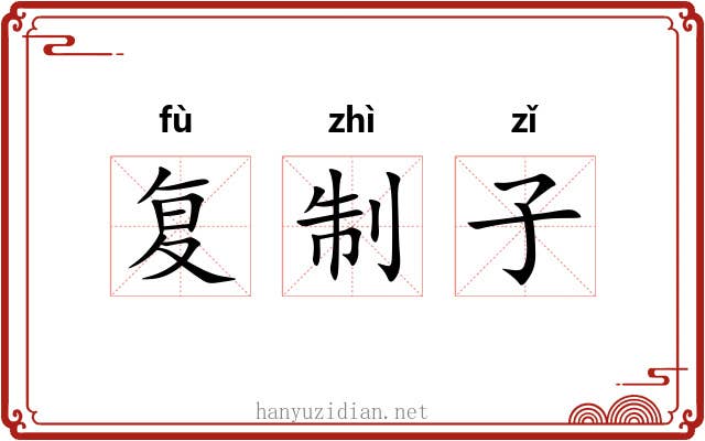 复制子 复制子