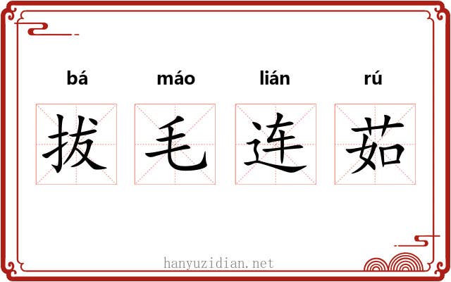 拔毛连茹