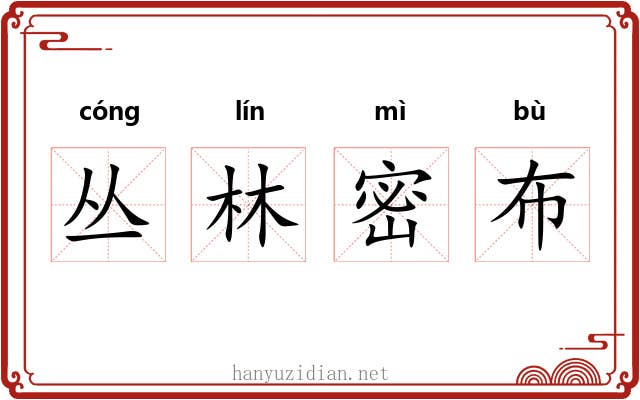 丛林密布 丛林密布
